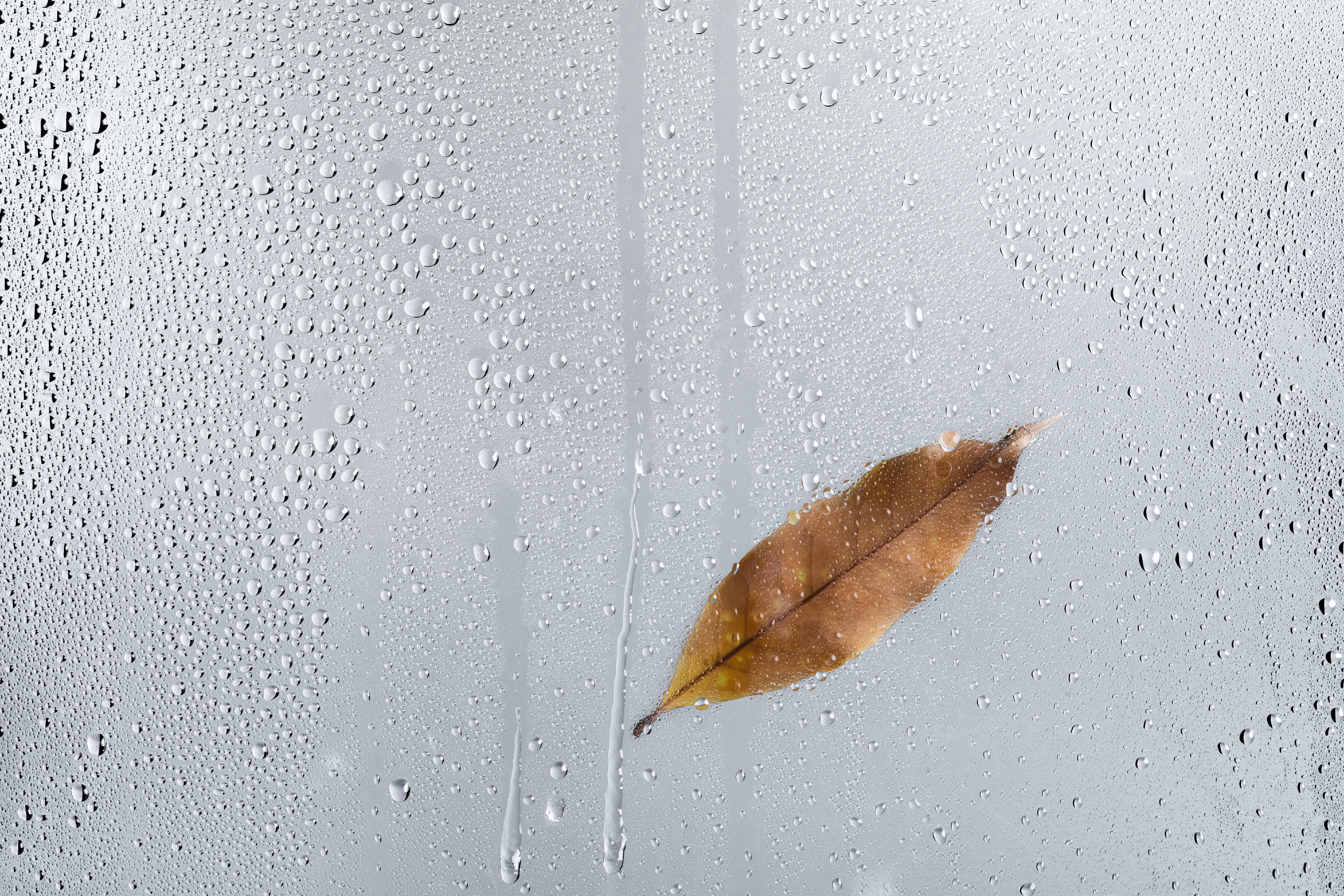 Smart Humidity Control for Manufacturing Businesses